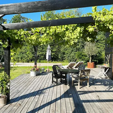 Danish Life Near And Tisvilde * Vejby